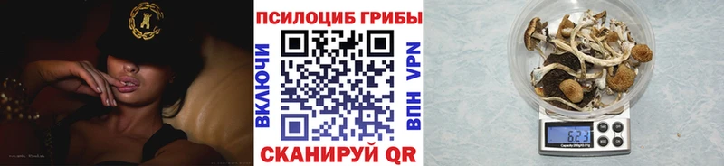 Псилоцибиновые грибы GOLDEN TEACHER хочу наркоту Олонец
